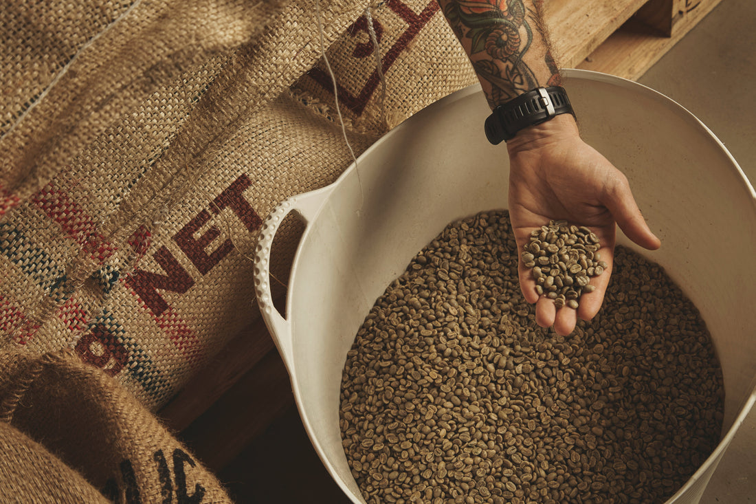 verse koffiebonen