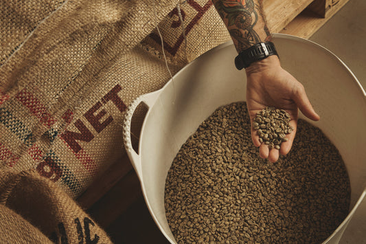 verse koffiebonen
